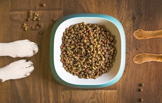 Pet food and supplement quality